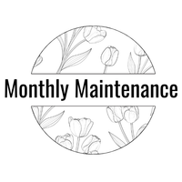 Monthly Website Maintenance-Brands That Bloom