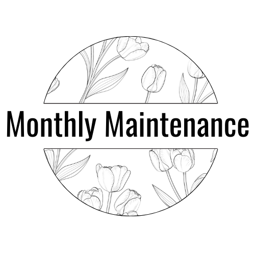 Monthly Website Maintenance